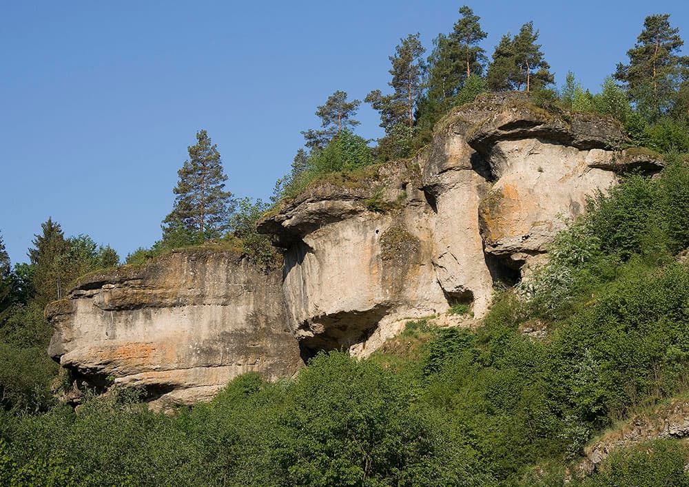 Limestone rock formations surrounded by forest in the Frankenjura climbing region in Germany.