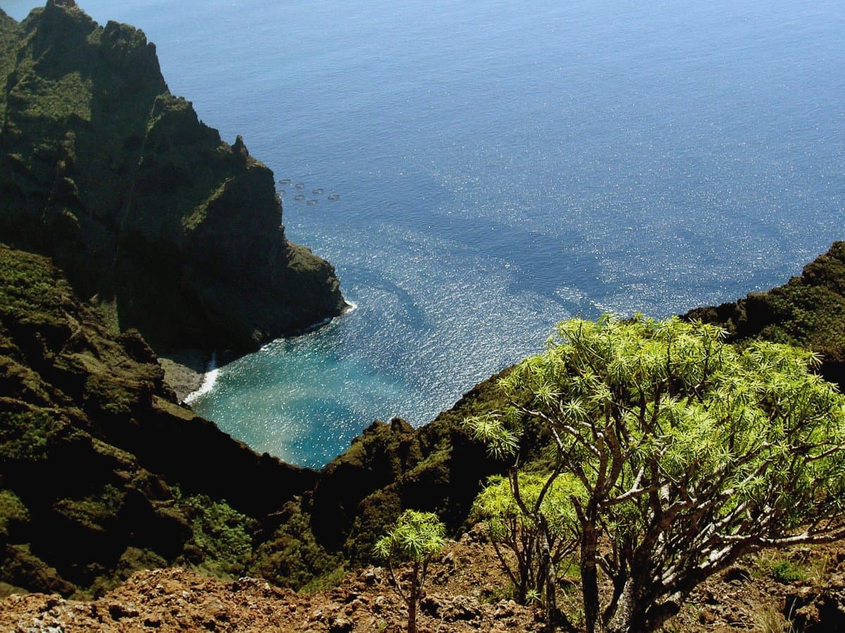 Rugged coastal cliffs and cove at Playa de Masca, Tenerife