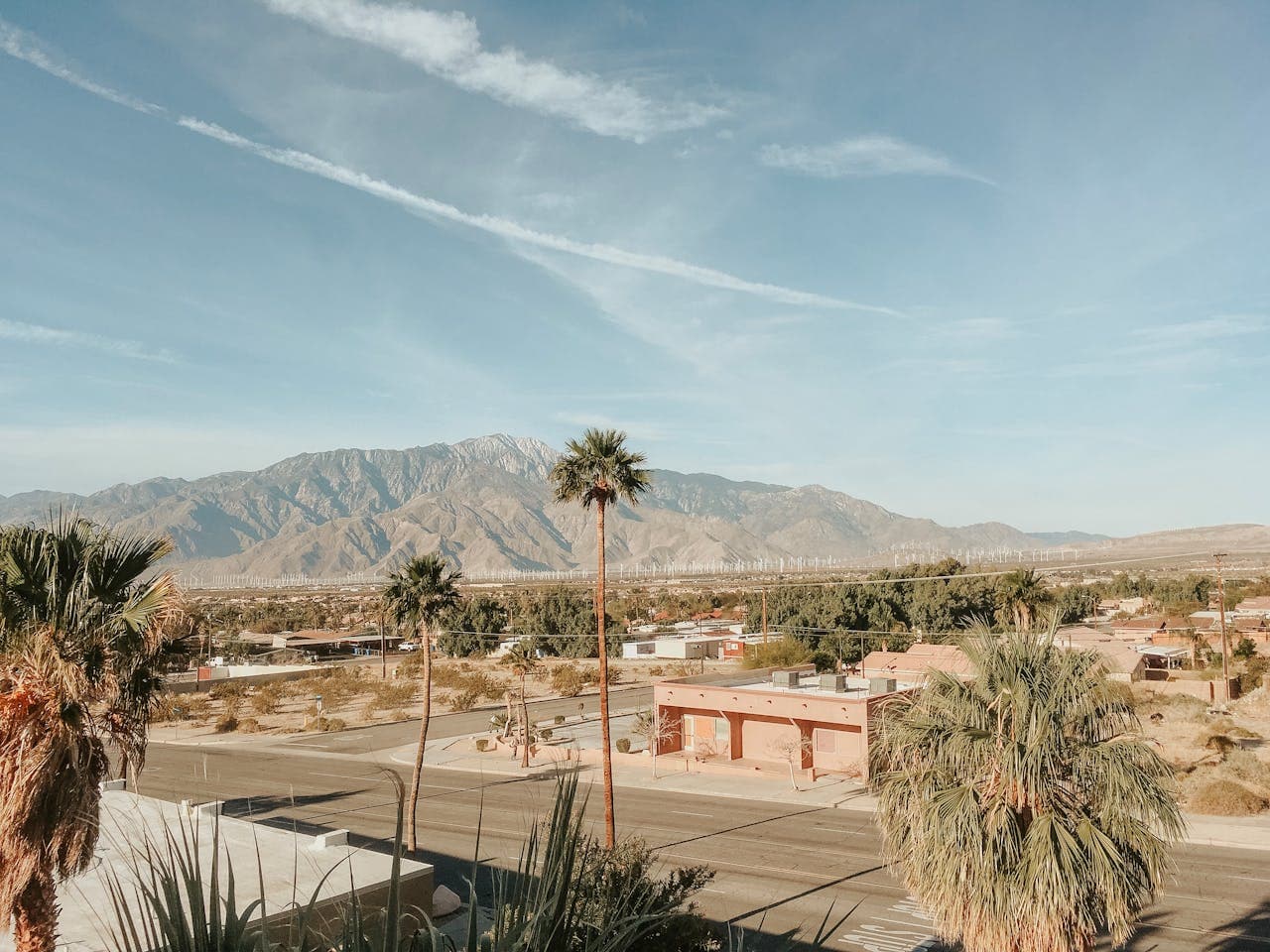 Palm trees and desert mountains in Palm Springs, California