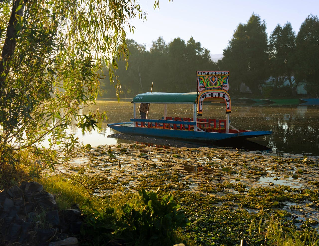 Colorful trajinera boat named Alfredo floating on a peaceful lake surrounded by lush green trees at sunrise