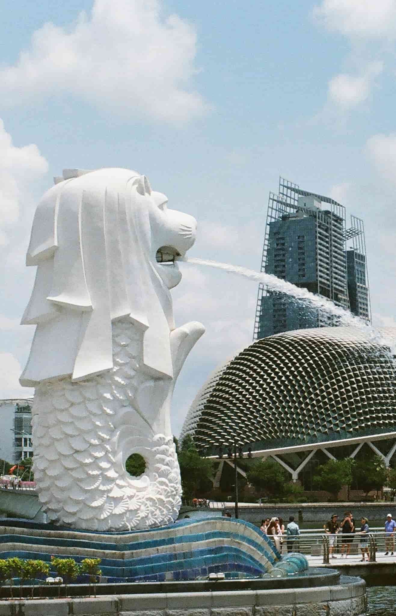 The Merlion statue in Singapore spouting water, with modern architecture in the background against a clear sky.