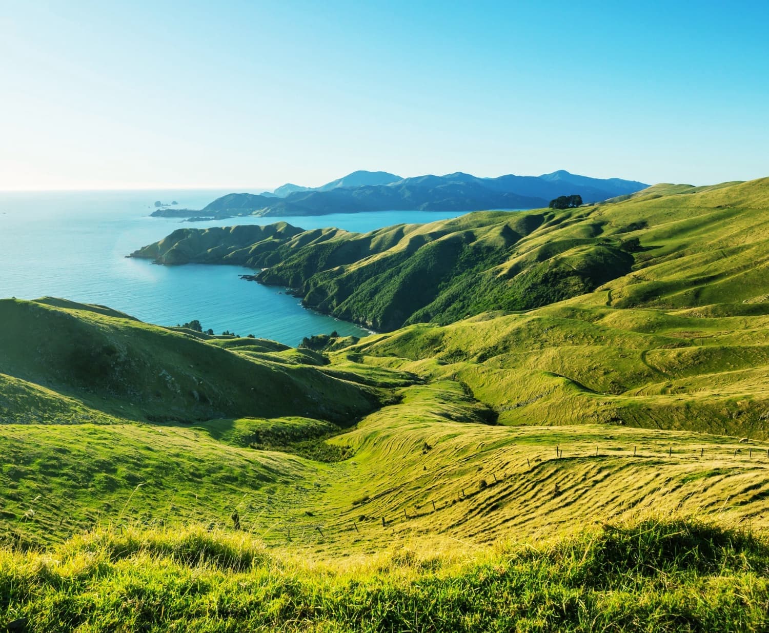 Green hills along a coastline in New Zealand
