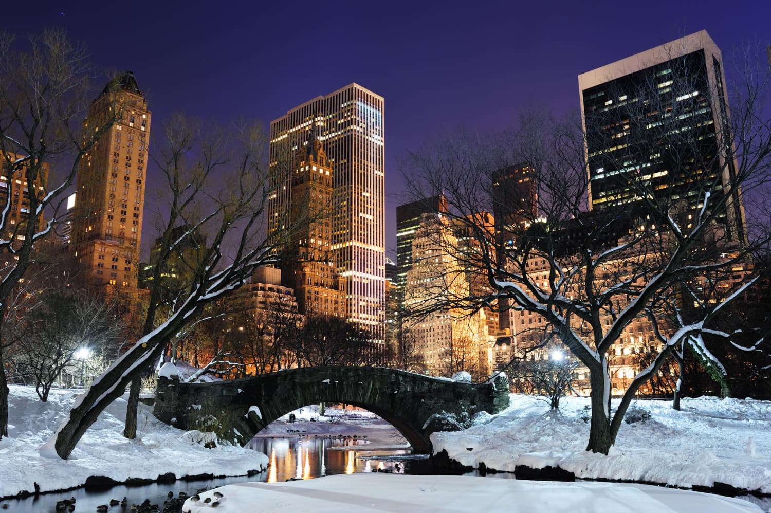Snow-covered Central Park at night, with illuminated skyscrapers in the background and a stone bridge over a frozen pond.