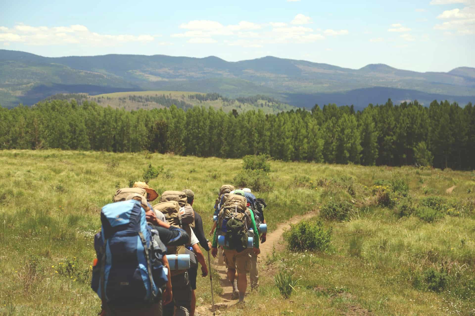 Hikers with backpacks walking along a trail through a lush green field towards distant forested mountains under a clear blue sky.