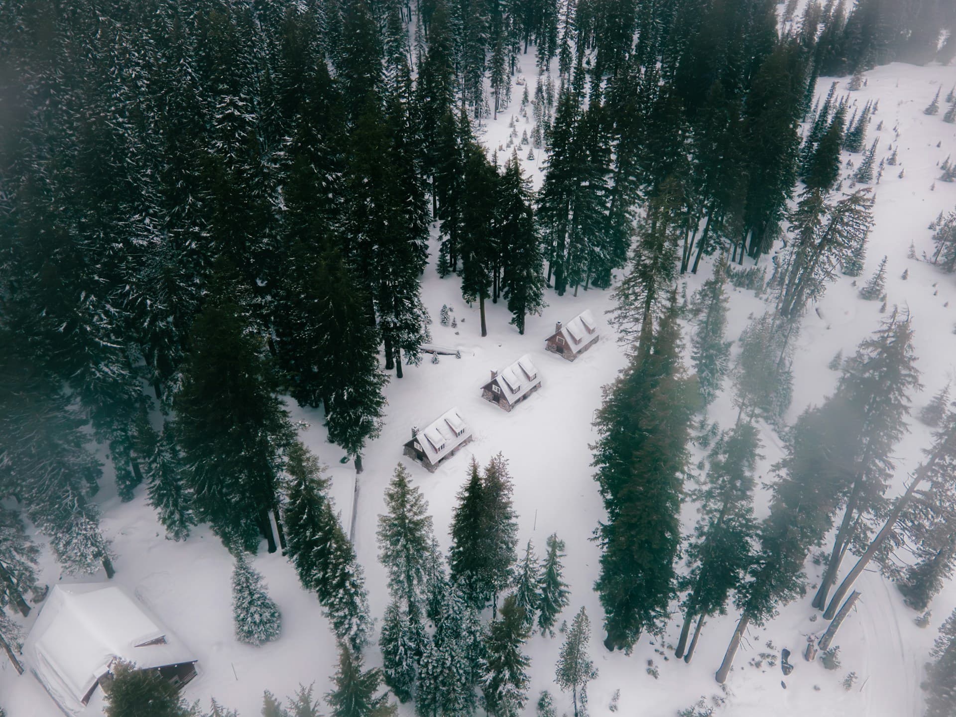 Aerial view of snow-covered cabins nestled among tall pine trees in a forested landscape during winter.