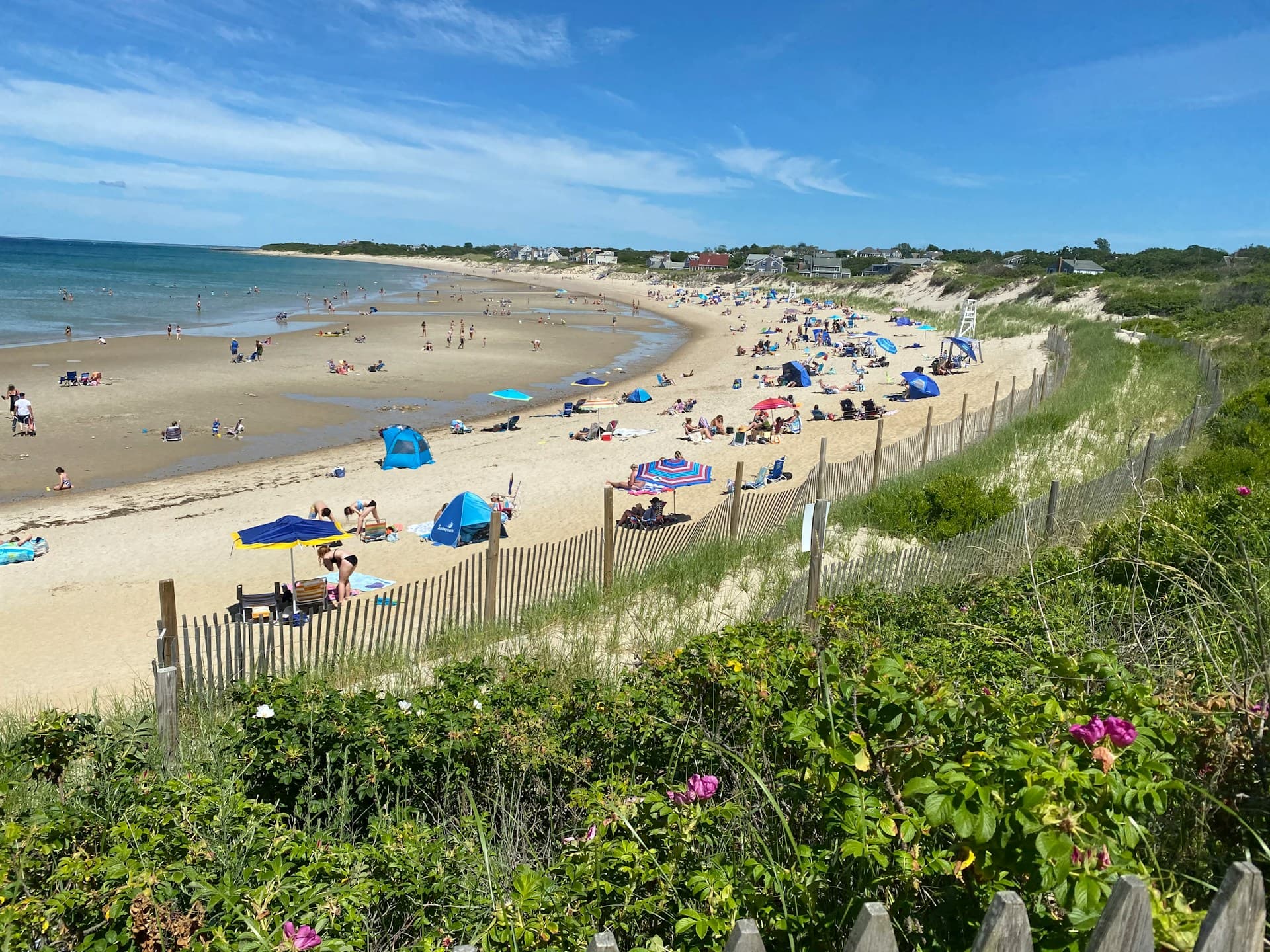 A sunny beach scene with people relaxing under umbrellas, lush green dunes, and a clear blue sky.