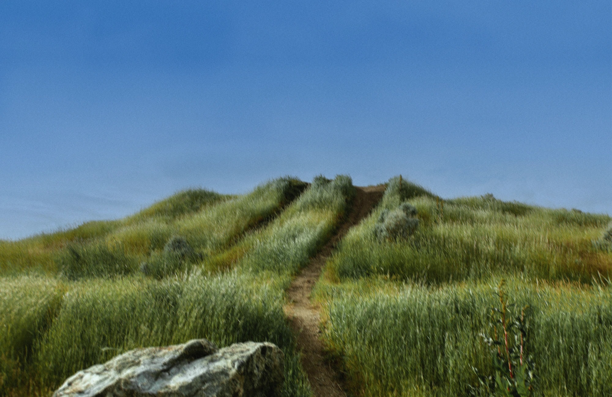 A dirt path climbing a grassy hill towards a clear blue sky