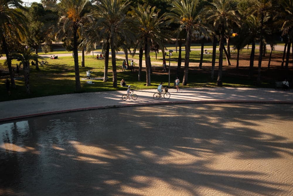People cycling and relaxing in a sunny park with palm trees and a reflective pond.