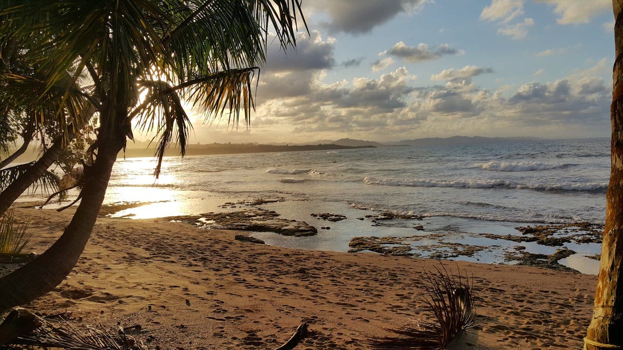 Tropical beach at sunset with palm trees, golden sand, and gentle ocean waves under a cloudy sky.