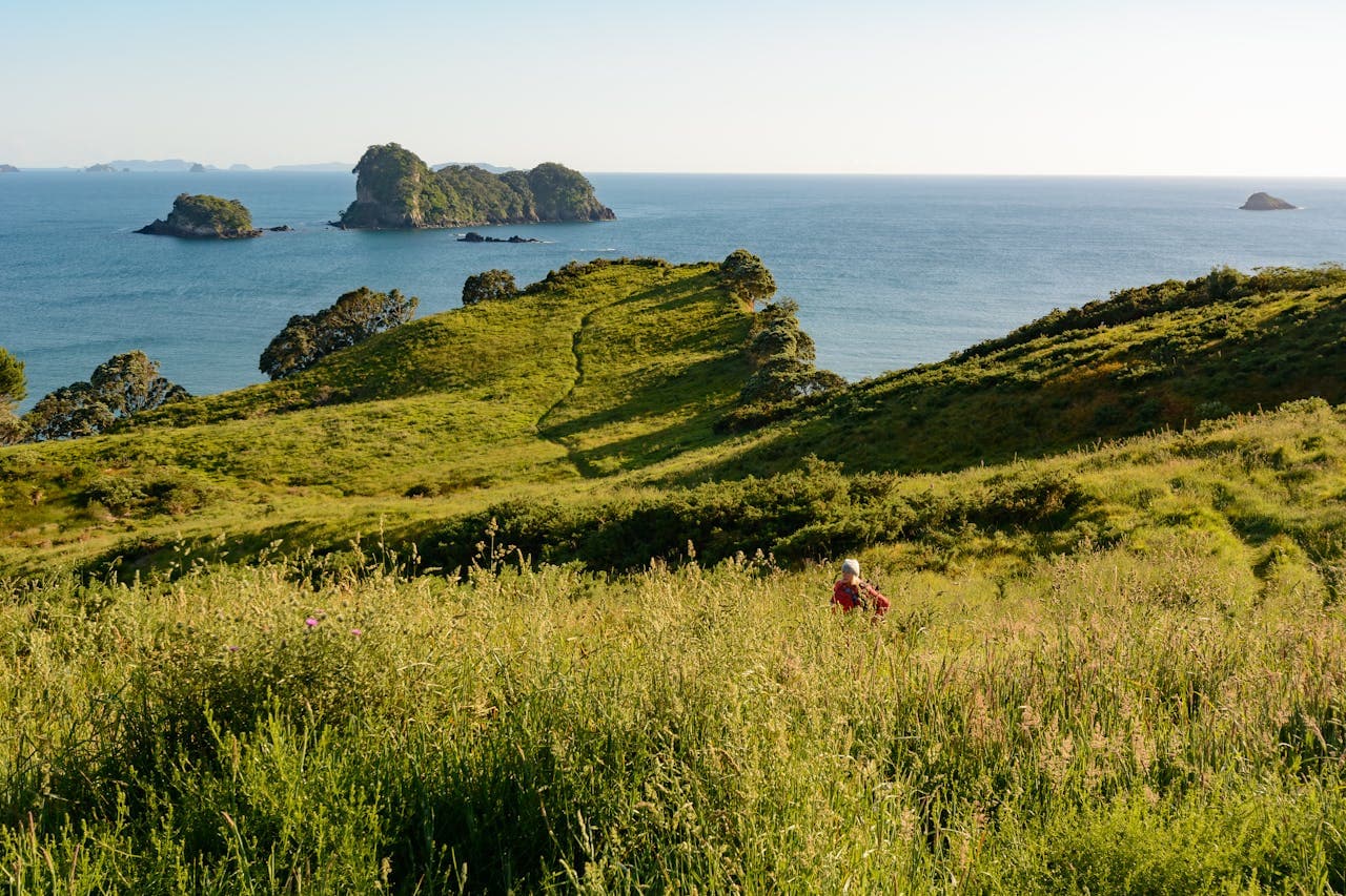Lush green coastal hillside meadow overlooking small tree‑covered islands in the blue Pacific Ocean, with a hiker in a red jacket walking through tall grass under a clear sky.