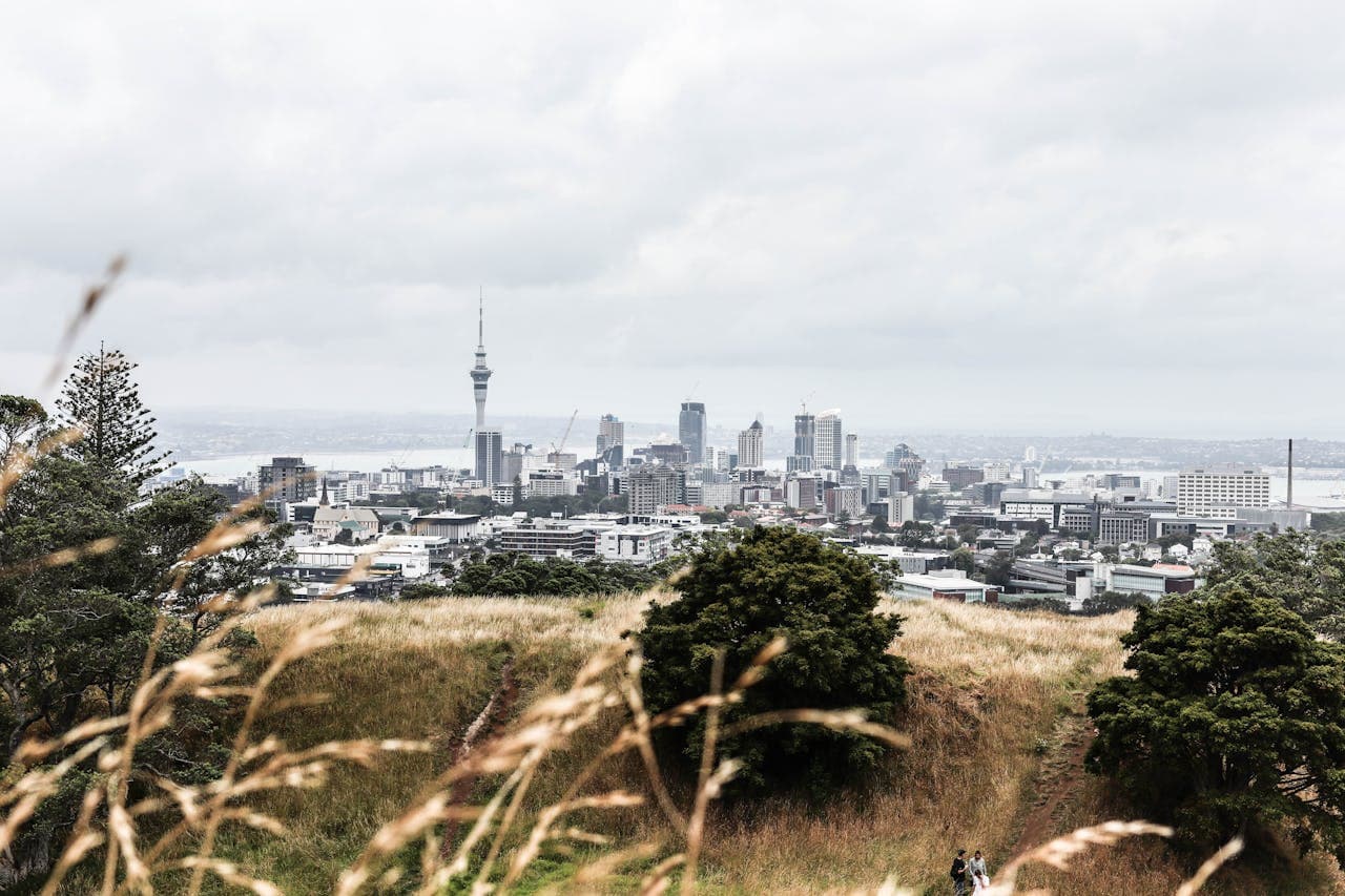 Panoramic view of Auckland city skyline in New Zealand, showcasing the iconic Sky Tower, modern skyscrapers, and urban landscape under a cloudy sky, seen from a grassy hill.