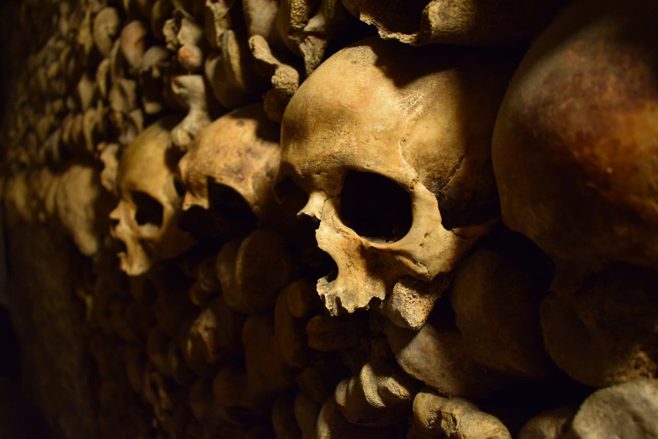 Close‑up of a human skull and stacked bones lining the dimly lit walls of the Paris Catacombs