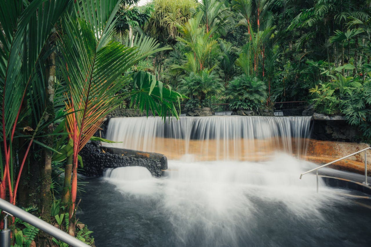 A lush tropical scene featuring a cascading waterfall surrounded by dense green foliage and palm trees. The water flows smoothly over stone ledges into a clear pool, with vibrant plants framing the view.