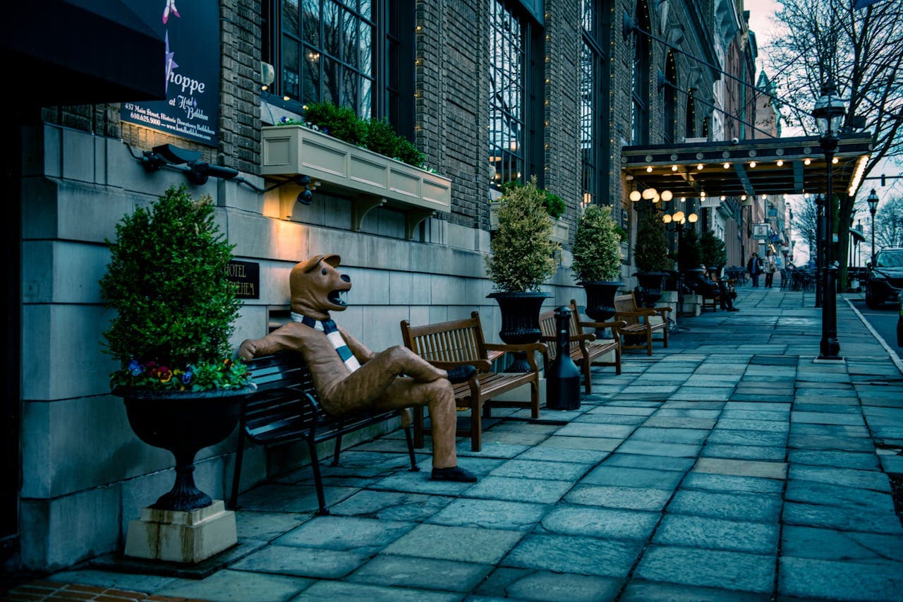 Person in a dog costume sitting on a bench along a cobblestone sidewalk, with potted plants and a building with large windows in the background.
