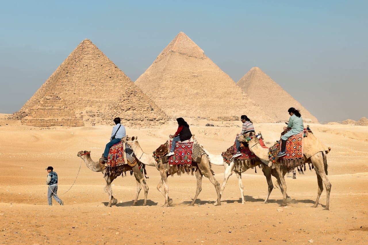 Decorated camel caravan carrying visitors across the sands in front of the Pyramids of Giza, Egypt