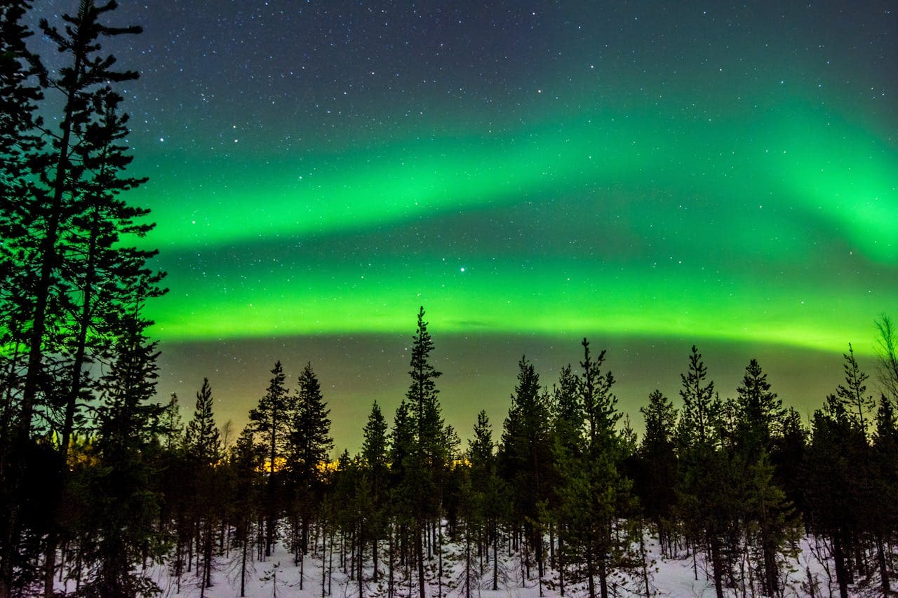 Northern lights with vibrant green hues illuminate the night sky above a snowy forest, silhouetting tall pine trees. Stars are visible in the background.