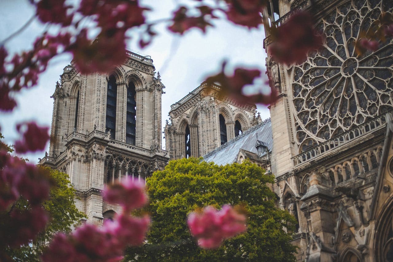 View of Notre Dame