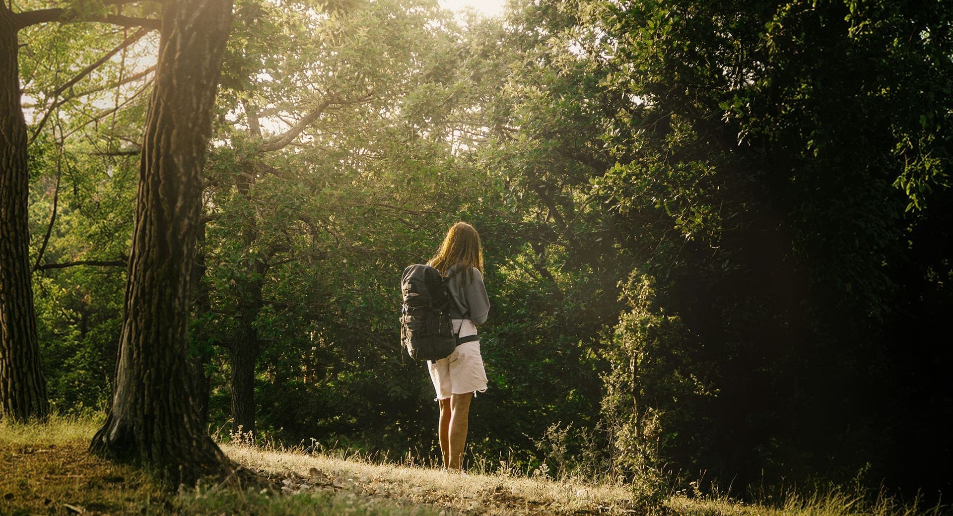 Hiker with a backpack walking through a sunlit forest