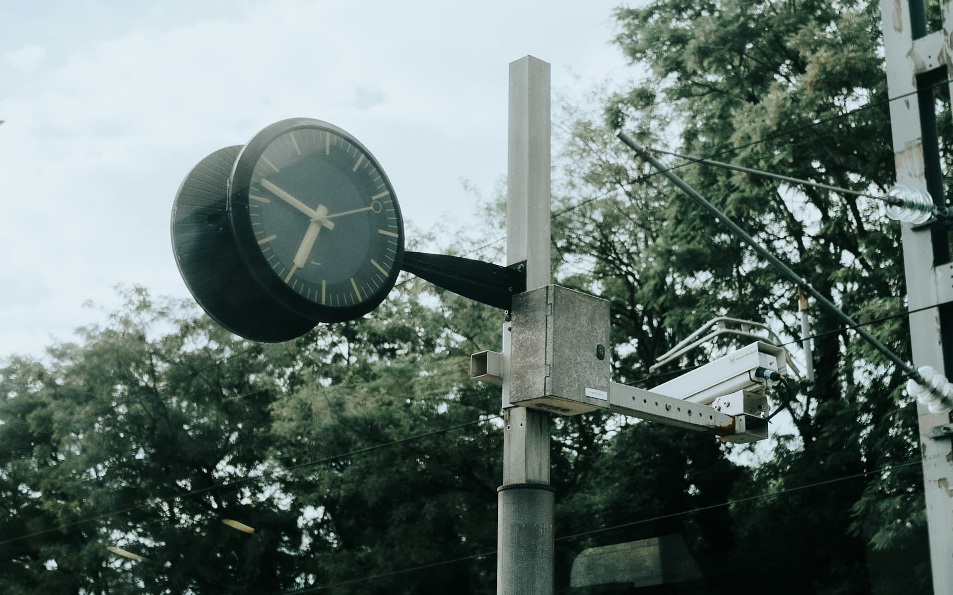 Outdoor clock on a pole surrounded by trees, illustrating the concept of healthy screen time limits by age