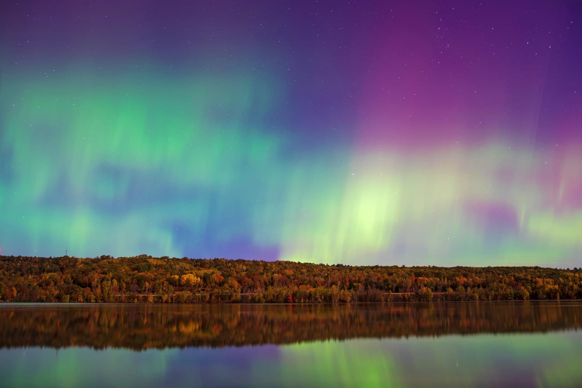 Bright green and purple northern lights glowing over a forested shoreline and reflecting on a calm lake at night.