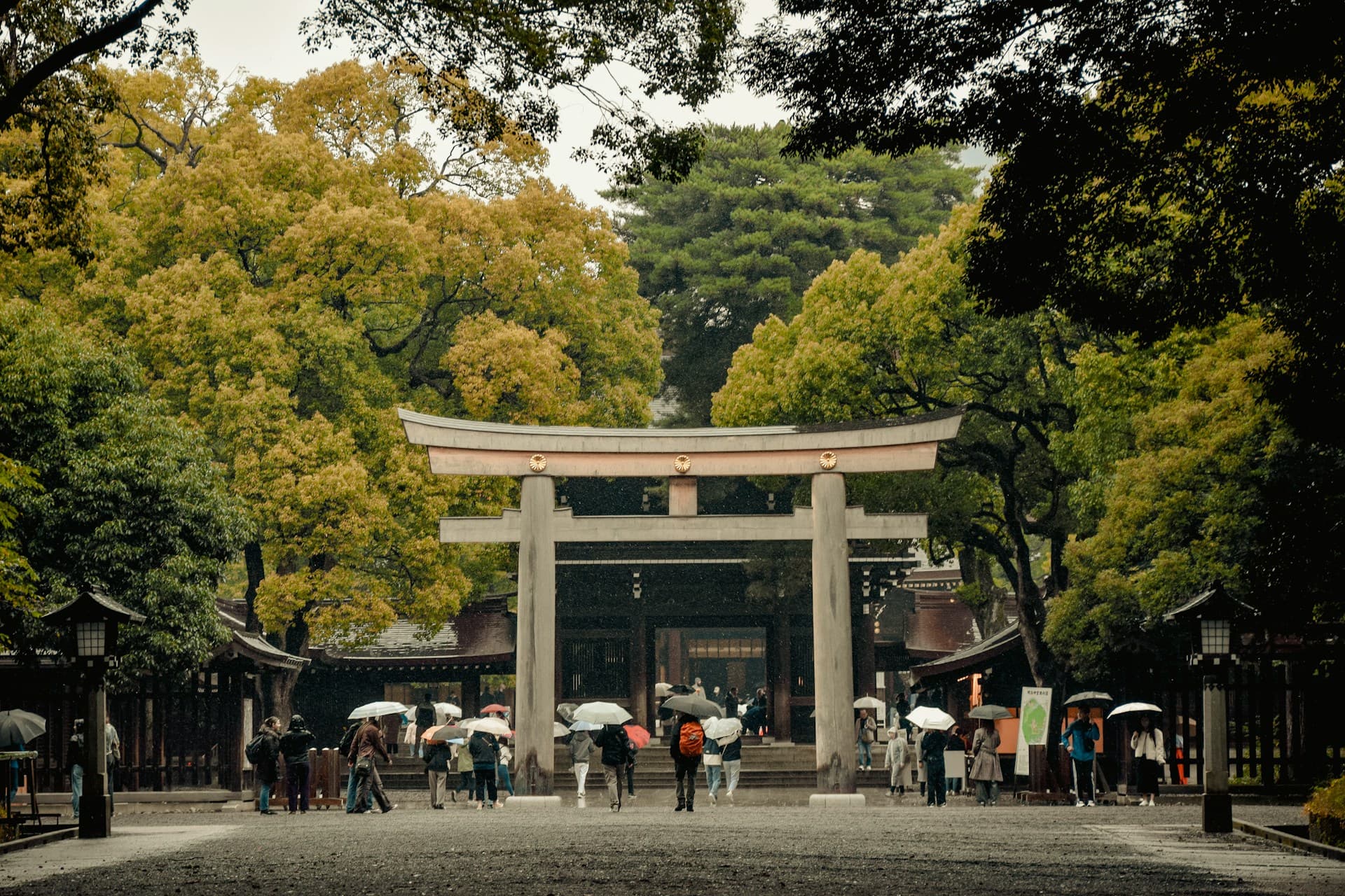 People with umbrellas pass beneath a large torii gate at a wooded Shinto shrine on a rainy day.
