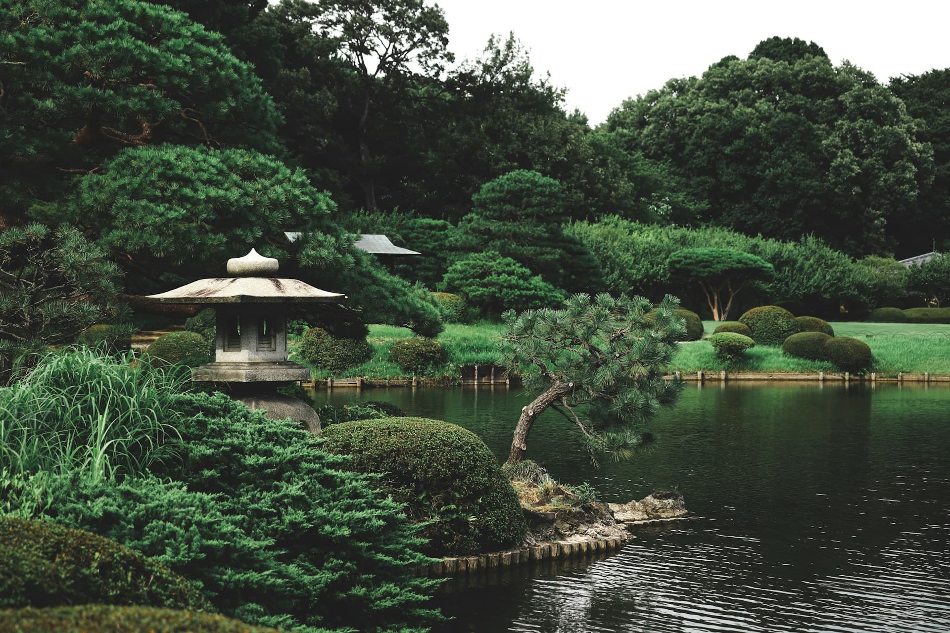 Serene Japanese garden with a stone lantern, leaning pine, manicured shrubs and trees beside a reflective pond.