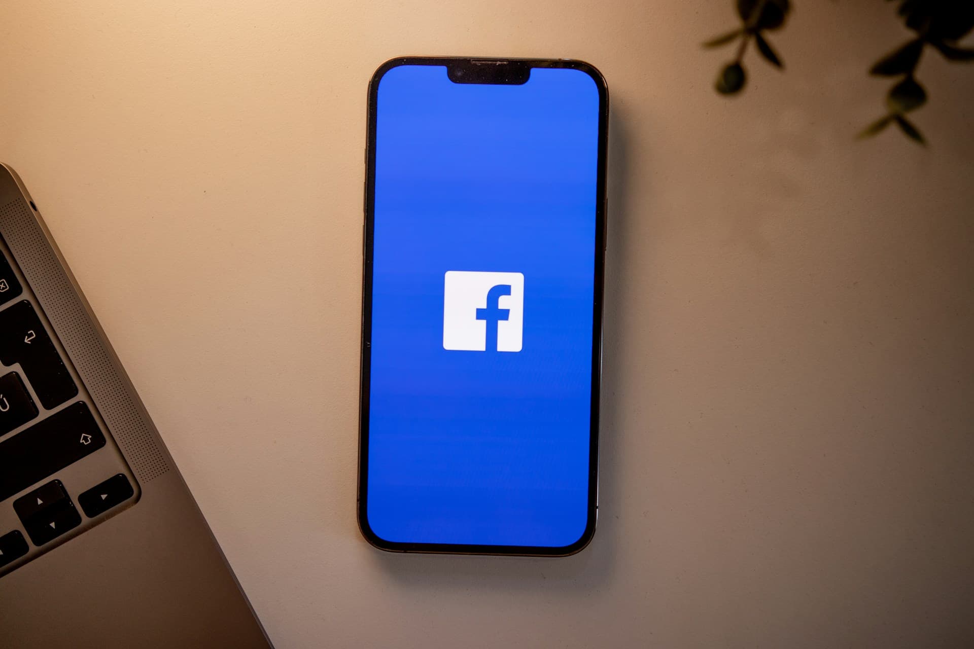 Smartphone on a desk displaying the Facebook logo on a blue screen, next to a laptop keyboard and plant leaves.