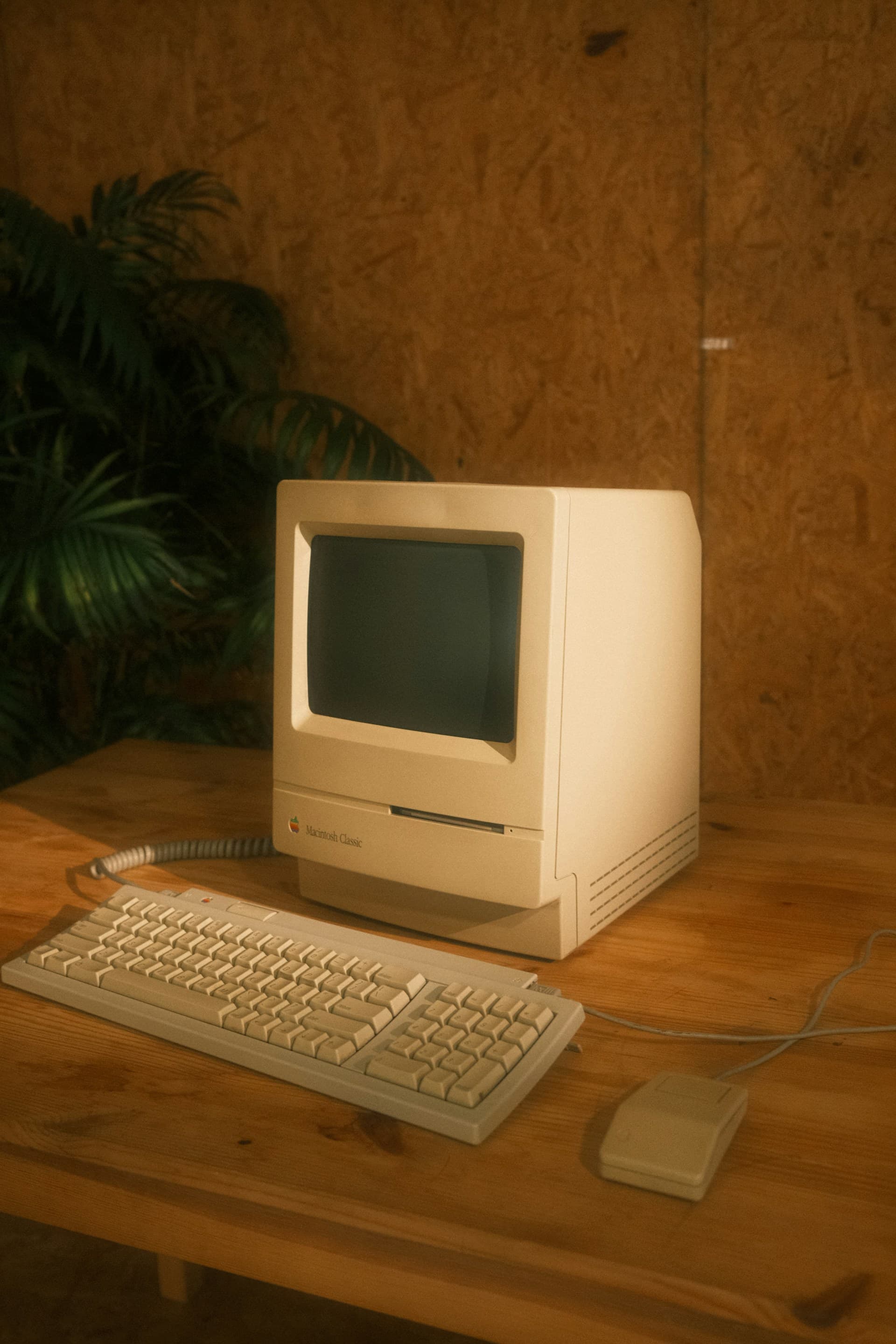 Vintage Macintosh Classic computer and keyboard on a desk