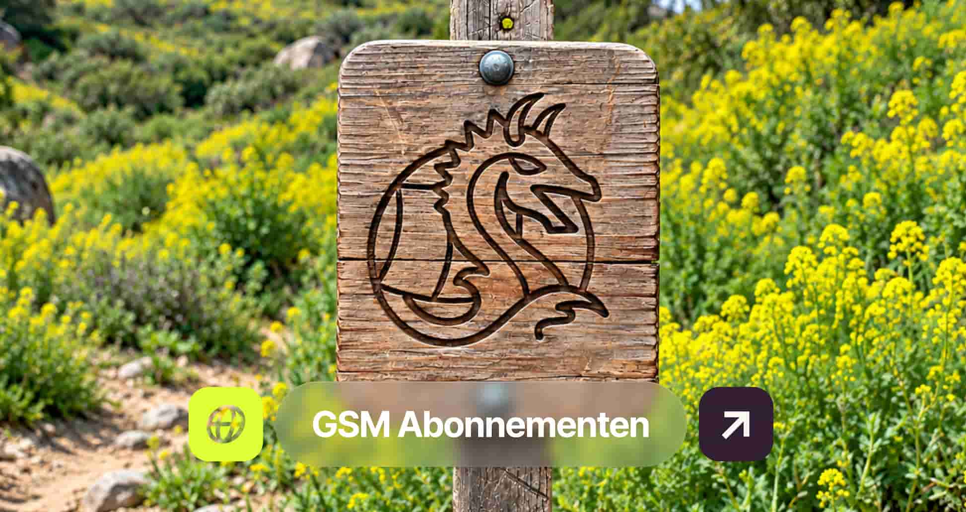 A wooden sign with a dragon carving, set against a background of yellow flowers and greenery. Text overlay reads "GSM Abonnementen."