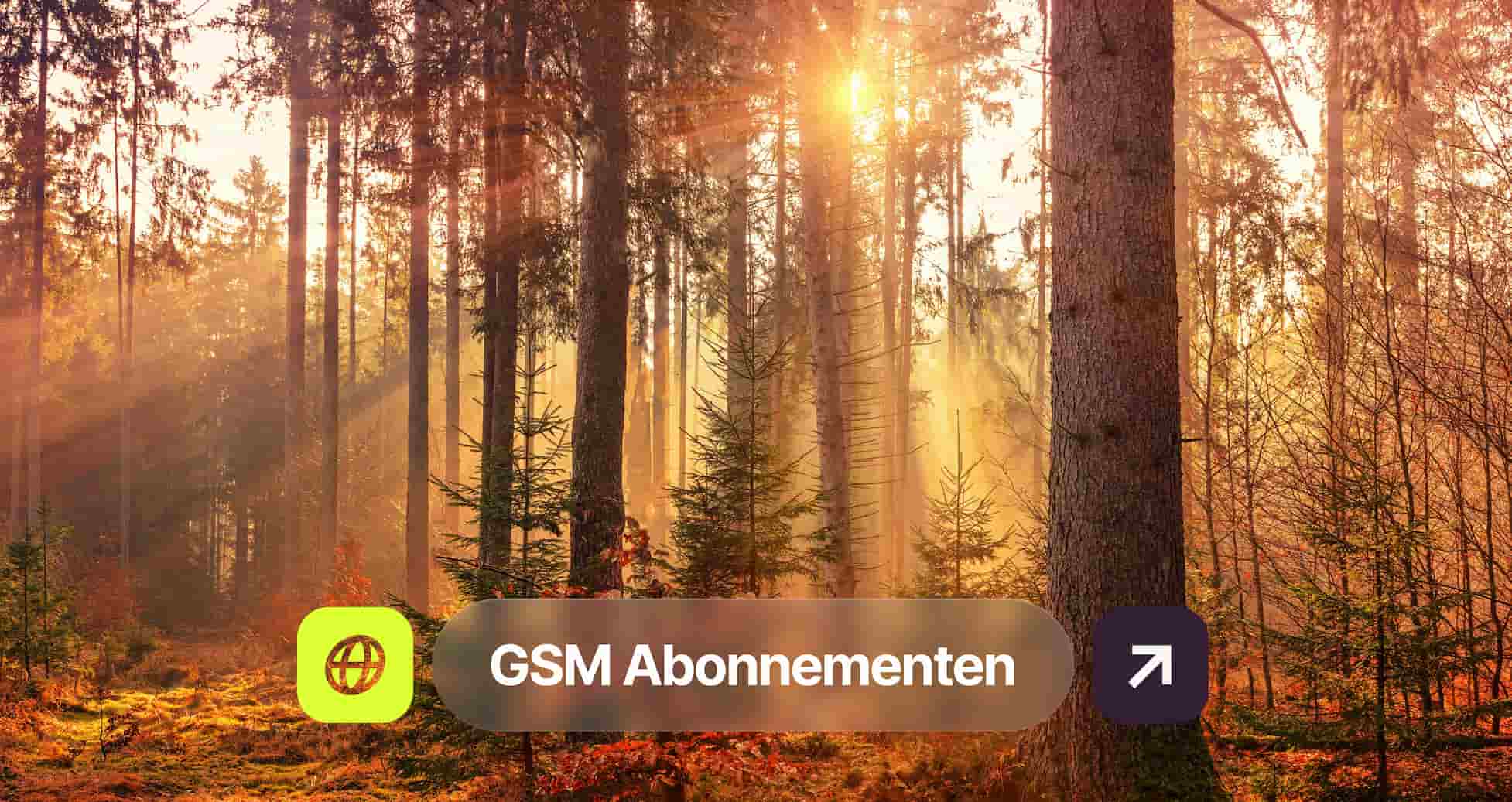 Sunlight filters through a dense forest of tall trees, casting a warm glow. A "GSM Abonnementen" button overlay is visible.