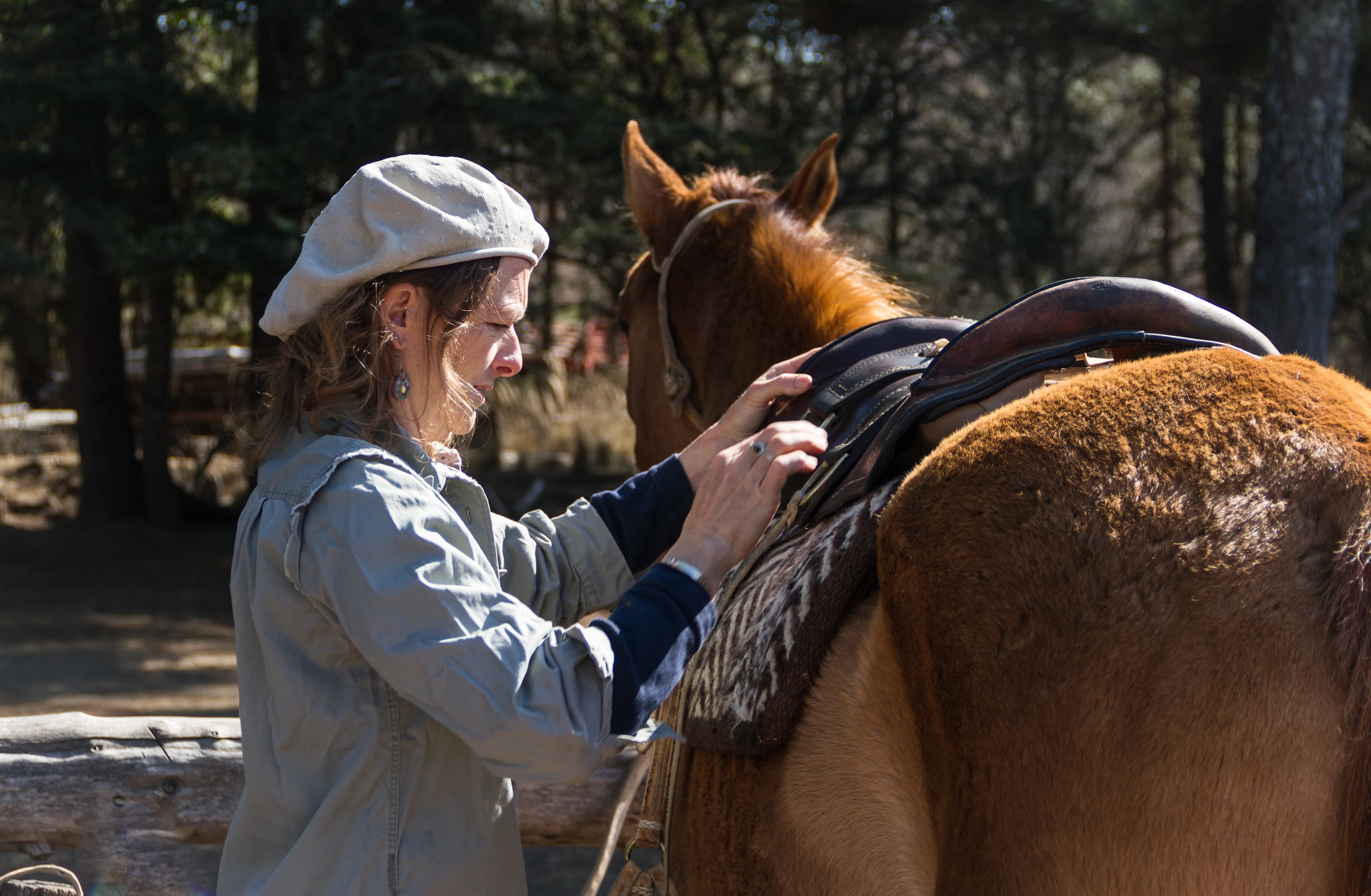 Woman adjusting saddle on a brown horse in a forest setting during daytime