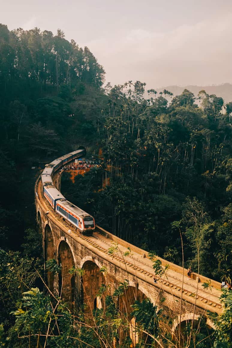 Train crossing a curved stone viaduct in a lush, forested landscape, with tall trees and a hilly background.