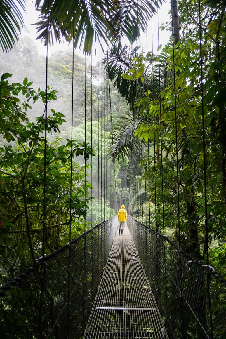 Person in a yellow raincoat walking across a narrow suspension bridge in a lush, misty rainforest.